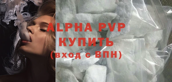 стафф Арсеньев