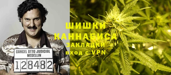 стафф Арсеньев