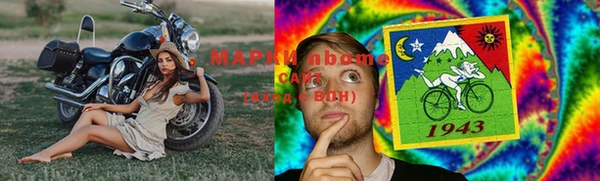 стафф Арсеньев