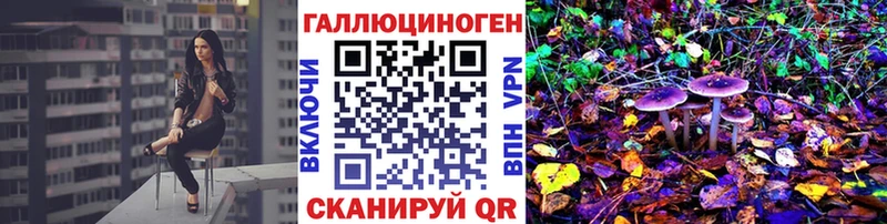 гидра зеркало  закладка  Дно  Галлюциногенные грибы Cubensis 