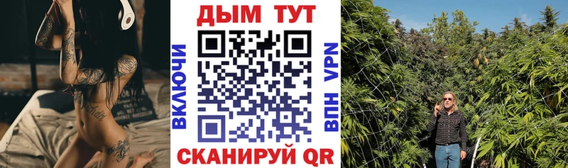 Бошки Шишки OG Kush  наркошоп  Дно 